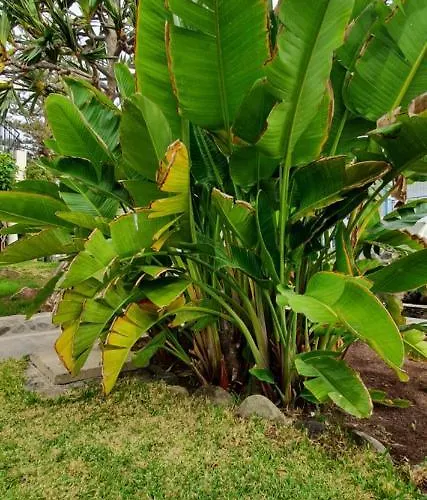 Bull Boutique Casas Carmen (Adults Only) Apartament Playa del Inglés