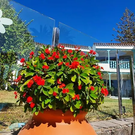 Bull Boutique Casas Carmen (Adults Only)