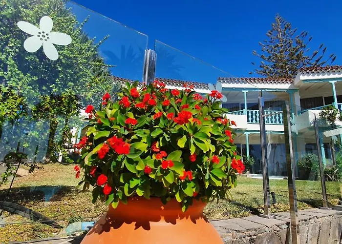 Bull Boutique Casas Carmen (Adults Only)